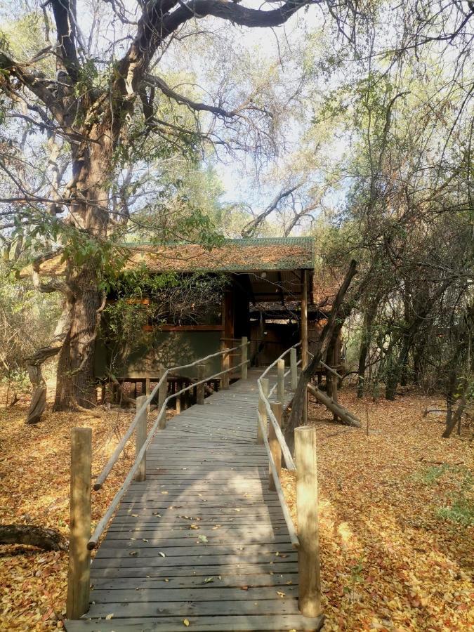 The Tshilli Farm & Lodge Maun Zewnętrze zdjęcie